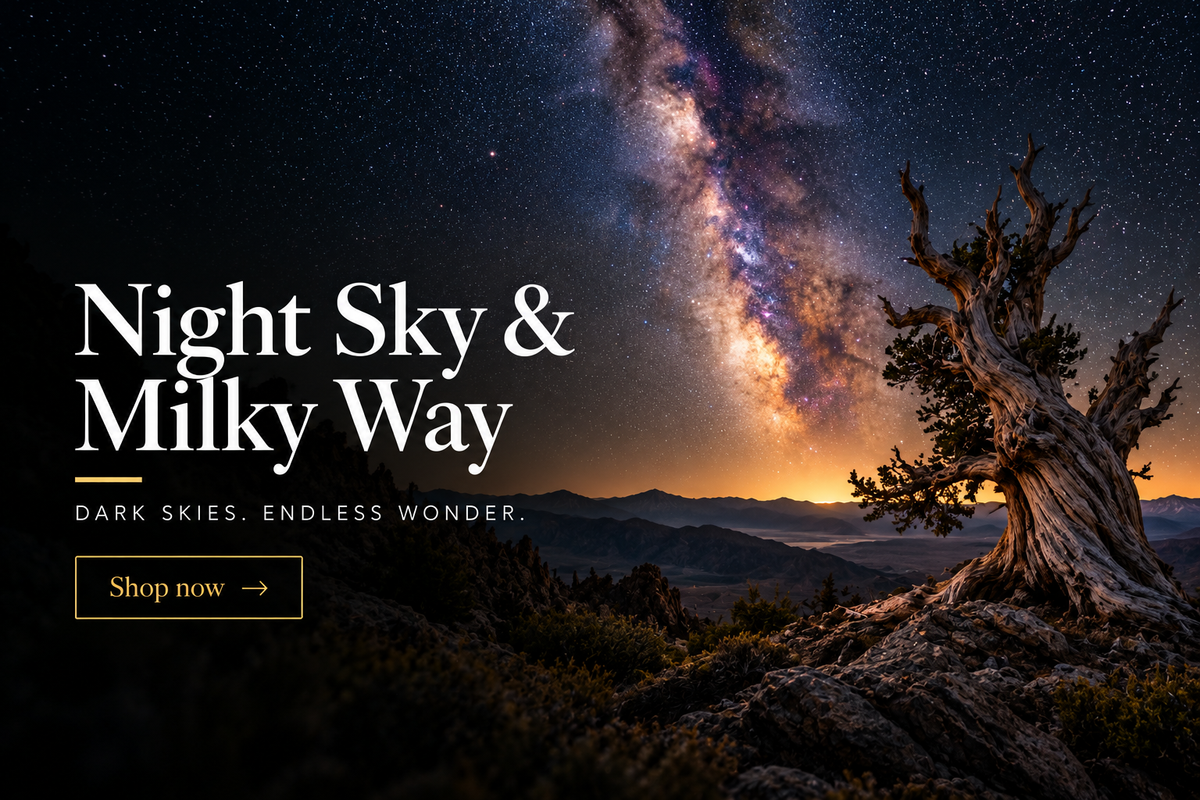 Night Sky & Milky Way