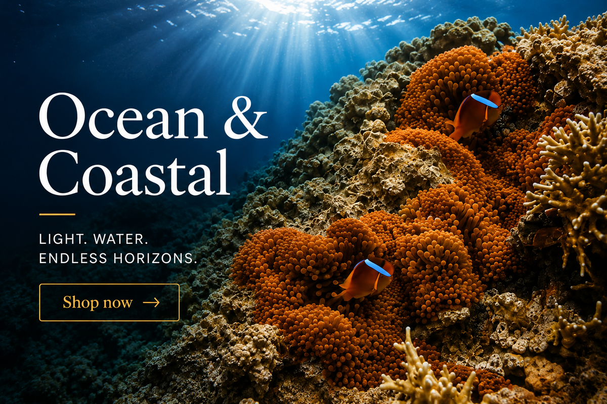 Ocean & Coastal