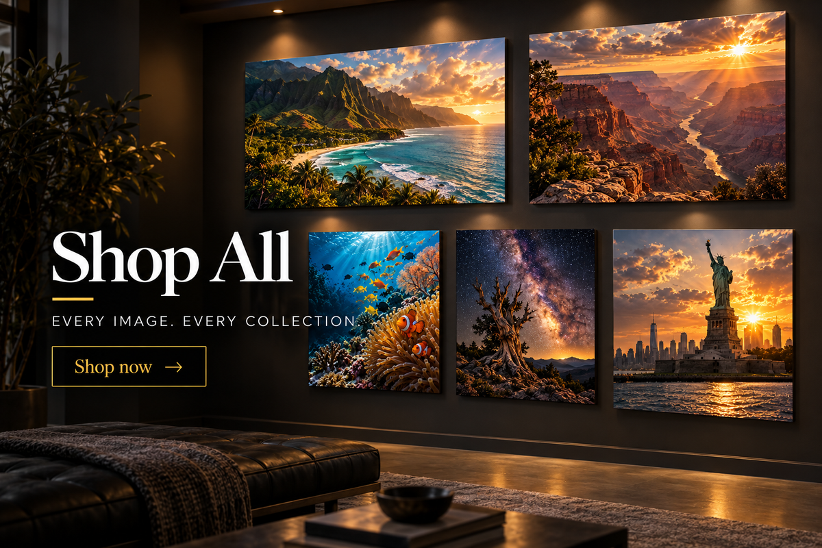 Shop All