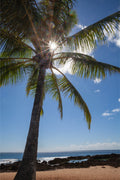 Island Light
