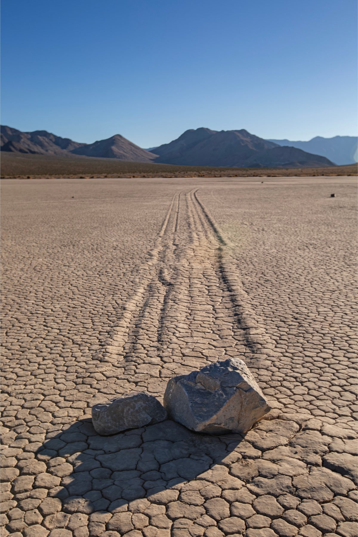 Tracks Across Time