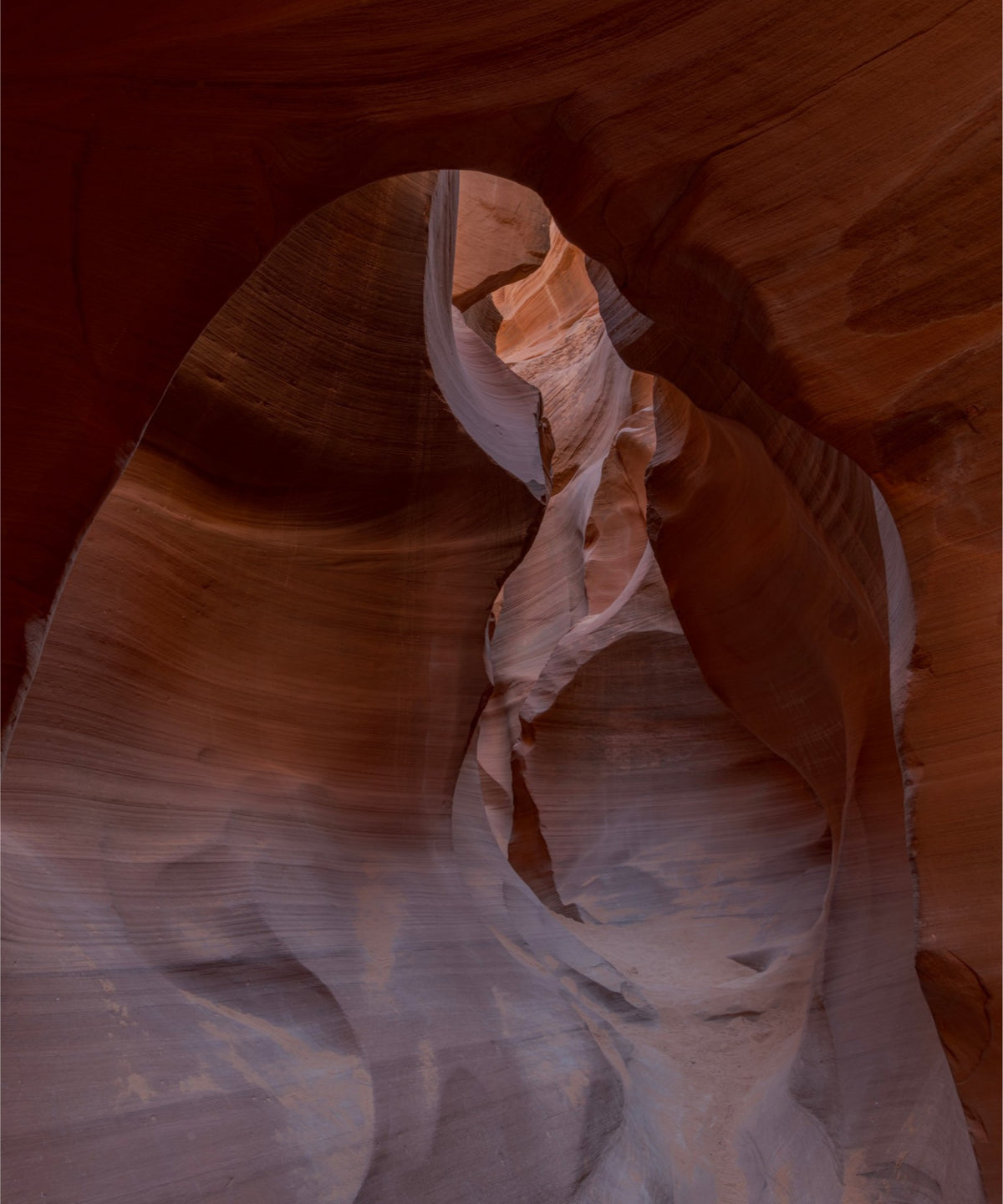Into the Canyon’s Heart