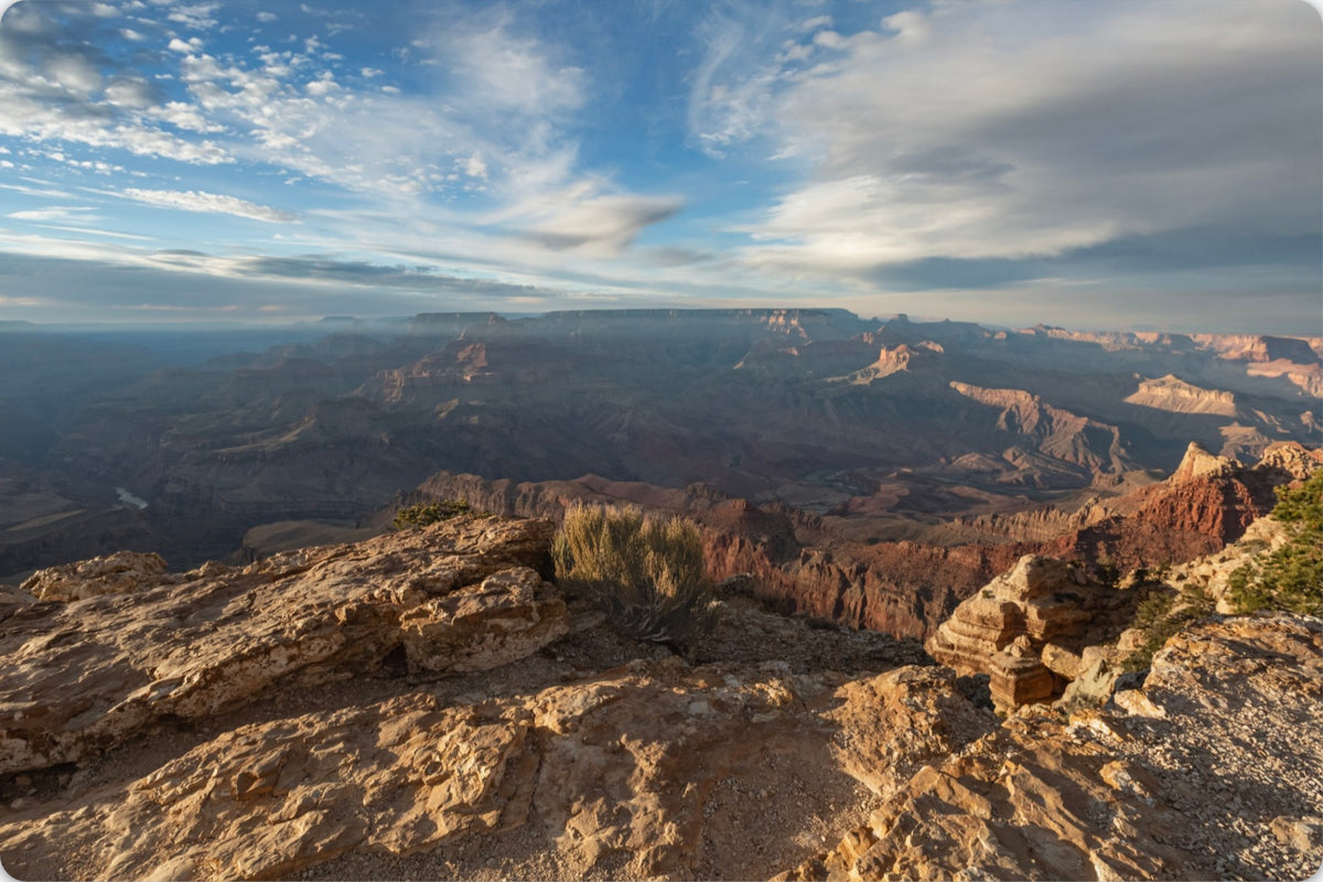 Where Light Finds the Canyon