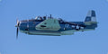 Blue Veteran