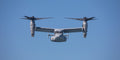 Osprey Incoming