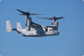 Osprey on Watch