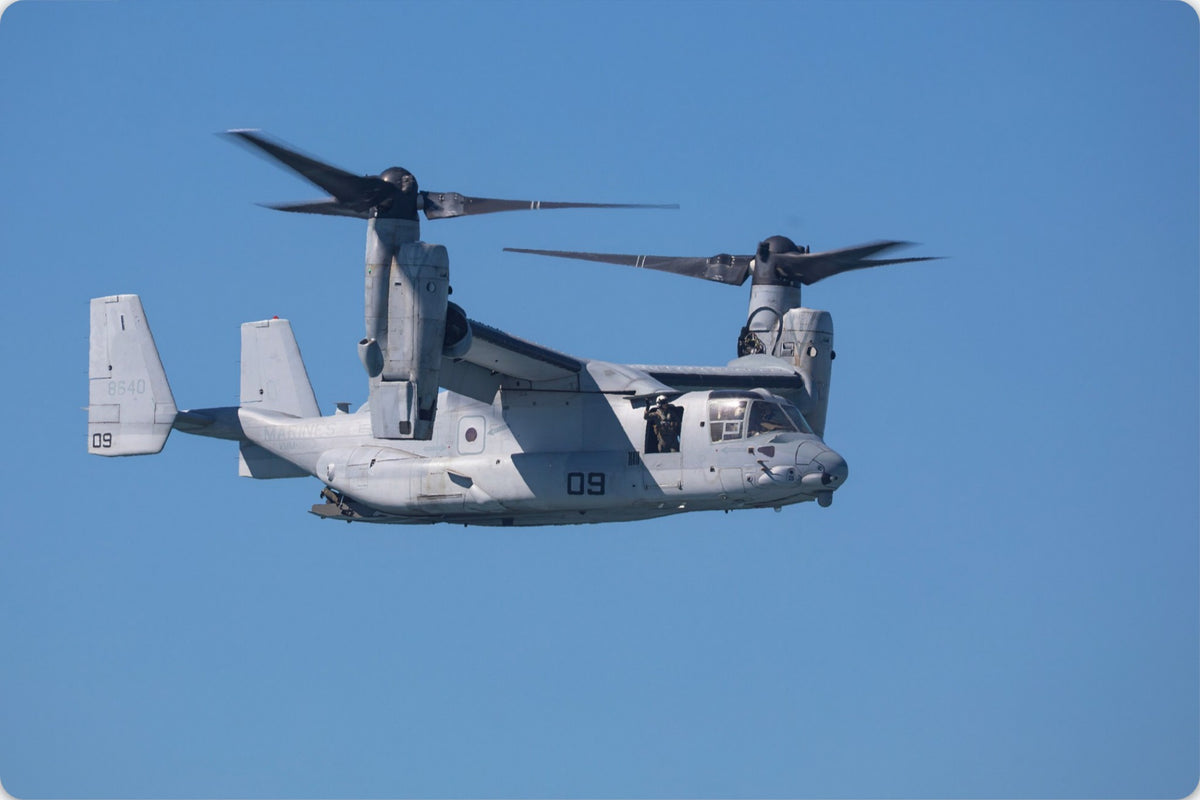 Osprey on Watch