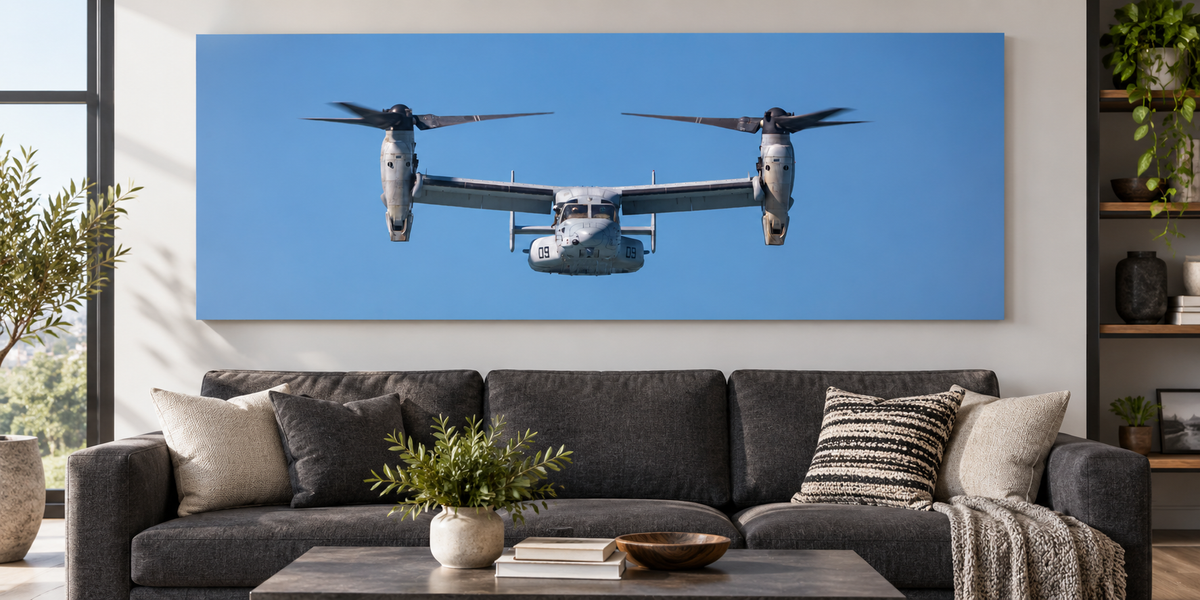 Osprey Incoming