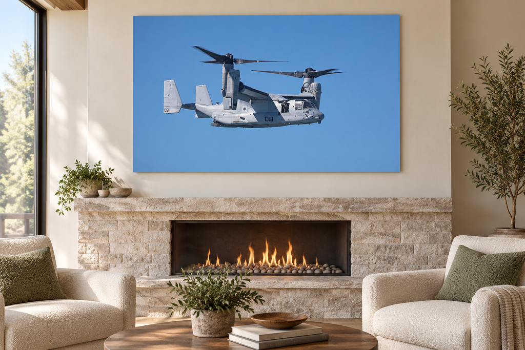 Osprey on Watch