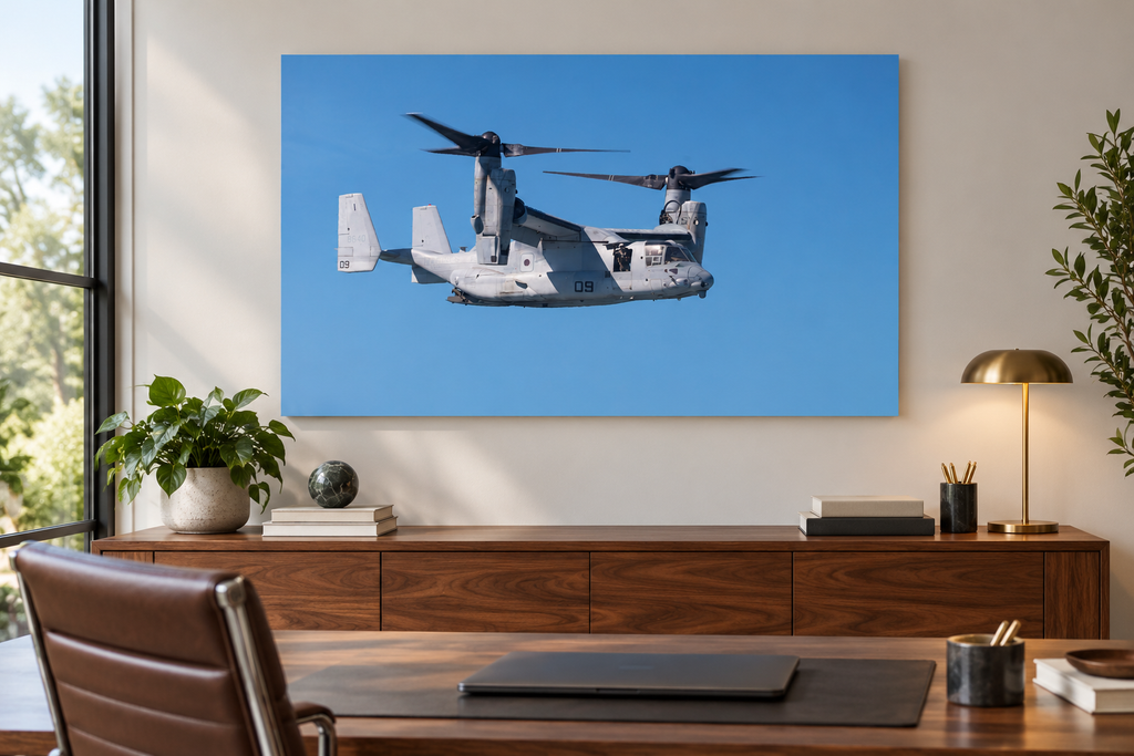 Osprey on Watch