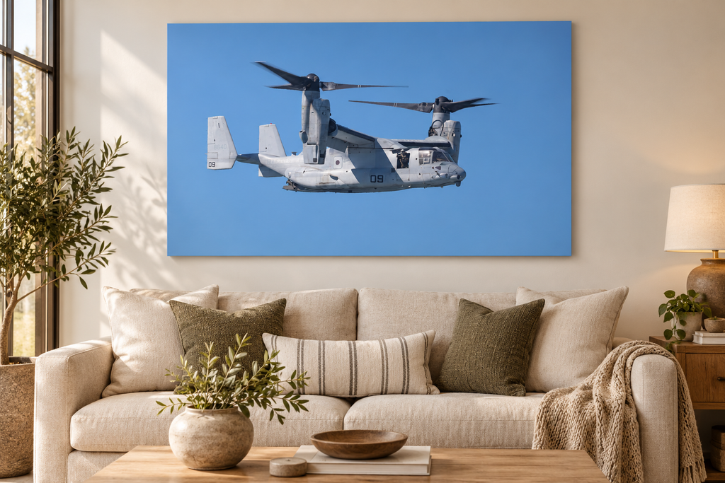 Osprey on Watch