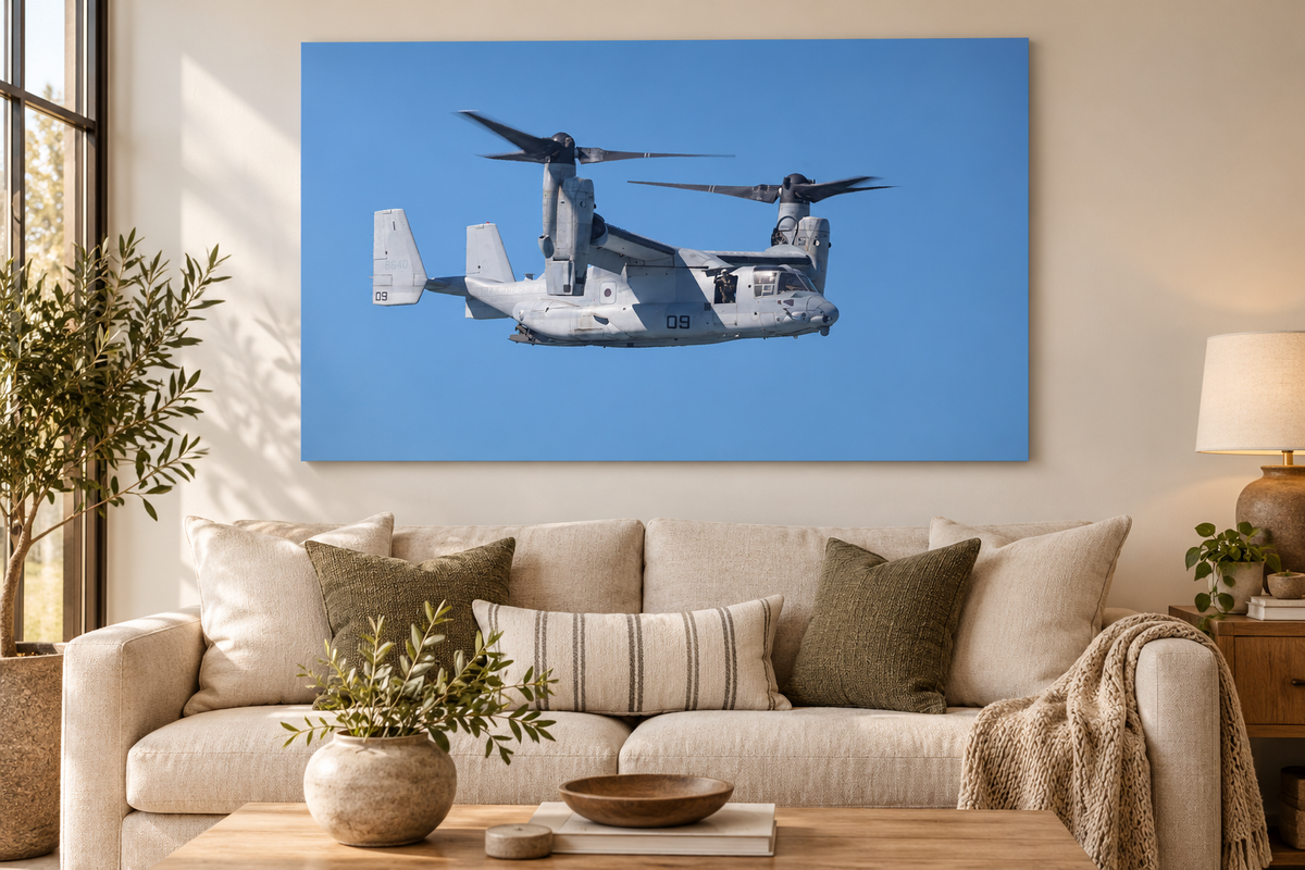 Osprey on Watch