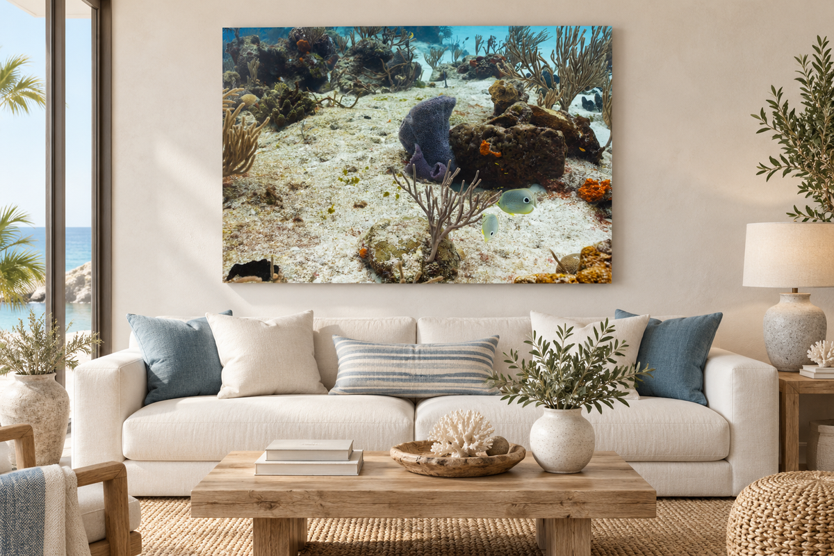 Along the Reef