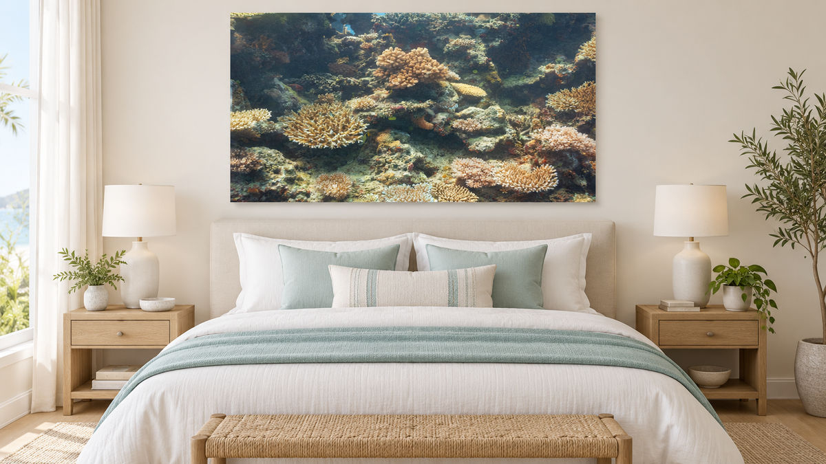 Coral Garden