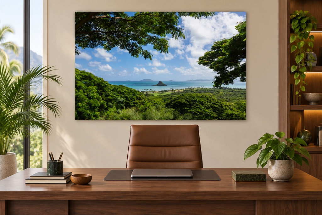Framed by Paradise