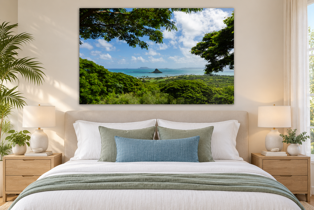 Framed by Paradise