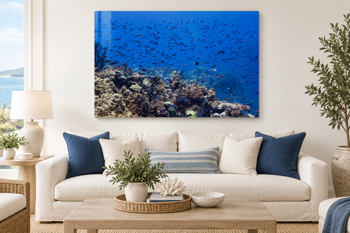 Reef in Motion
