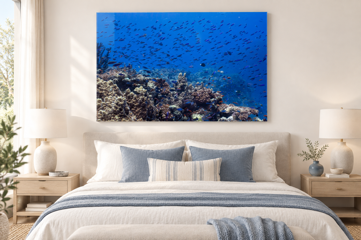 Reef in Motion