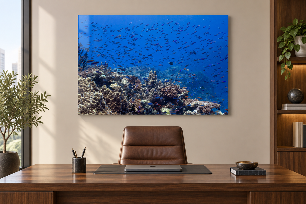 Reef in Motion
